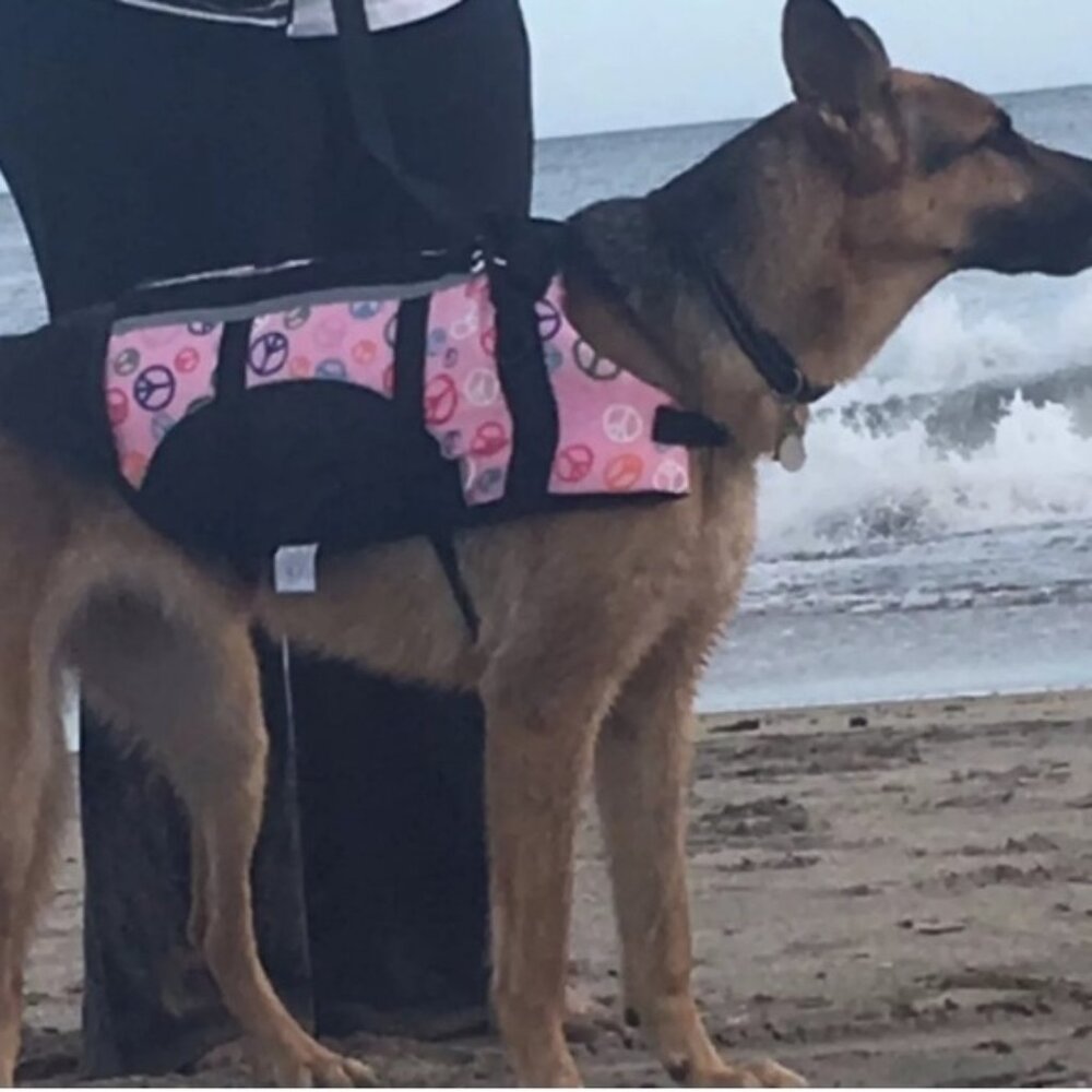 ❤️ Dog life jacket/ life preserver Peace Sign - Picture 2 of 3